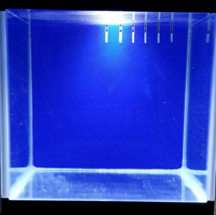 ブルースクリーンの水が入っただけの水槽